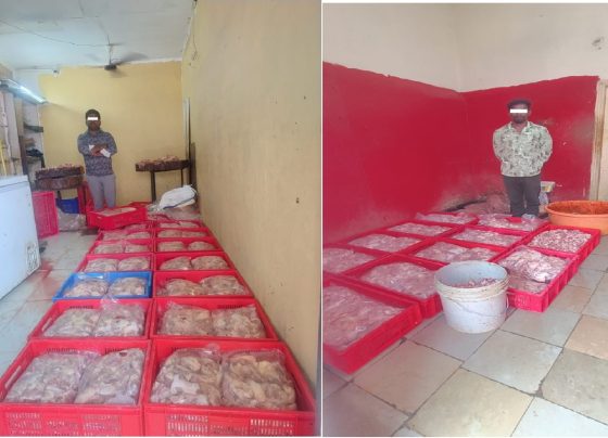 Authorities Raid Chicken Shops in Hyderabad, Seize Contaminated Meat – Two Arrested Massive Seizure of Noxious Chicken in Secunderabad In a significant crackdown on the sale of contaminated meat, the Commissioner’s Task Force, North Zone Team, Hyderabad City, in coordination with the Sanitary Officer of Cantonment, Secunderabad, conducted surprise raids on two chicken shops—‘S.S.S Chicken Shop’ and ‘Ravi Chicken Shop’—located in Anna Nagar and Arjun Nagar, Begumpet, Secunderabad. During the operation, officials seized a massive quantity of hazardous chicken unfit for consumption and arrested two individuals involved in the illegal trade. Details of the Accused The arrested individuals were identified as: M. Bhasker (34), son of M. Ellaiah, owner of S.S.S Chicken Shop, Arjun Nagar, Rasoolpura, Secunderabad. Botta Raveendar (24), son of Iialah, owner of Ravi Chicken Shop, Anna Nagar, Balamrai, Secunderabad. Seized Material Authorities confiscated approximately 600 kilograms of frozen and stored hazardous chicken waste and bones, which were intended for sale to various eateries at significantly lower prices than market rates. Uncovering the Illegal Trade – How Contaminated Chicken Reached Consumers Investigations revealed that both accused individuals, residents of Indiranagar, Rasoolpura, and Indirammanagar, respectively, devised a scheme to sell discarded chicken waste and bones. Their primary customers included fast-food outlets and establishments adjacent to wine shops, where they supplied the contaminated meat at lower prices. To enhance the appearance and taste of the substandard meat, fast-food vendors reportedly mixed the chicken with artificial colors, flavor enhancers like Ajinomoto, and other chemicals. This deceptive practice enabled them to attract unsuspecting consumers who remained unaware of the health risks associated with consuming such meat. Serious Health Hazards Posed by the Consumption of Noxious Chicken The prolonged freezing and storage of chicken waste caused it to become highly toxic, posing severe health risks to consumers. Some potential dangers include: Food Poisoning: Consuming contaminated chicken can lead to bacterial infections such as Salmonella and E. coli, causing severe gastrointestinal distress. Toxic Chemical Reactions: Artificial additives like Ajinomoto and food colorings may trigger allergic reactions, hormonal imbalances, and other long-term health complications. Weakened Immunity: Regular consumption of substandard or chemically treated meat can compromise the immune system, making individuals susceptible to various illnesses. Liver and Kidney Damage: The toxins in spoiled meat can strain the body’s detoxification organs, increasing the risk of chronic diseases. Public Safety Advisory – How to Avoid Consuming Contaminated Chicken Authorities have issued an urgent advisory to the public, urging increased vigilance when purchasing or consuming chicken from street vendors and fast-food outlets. Here are some key precautions to follow: ✅ Verify the Hygiene Standards of Chicken Shops: Ensure that chicken is purchased only from reputed and hygienic sources. ✅ Inspect the Meat Before Consumption: Check for unusual odors, slimy textures, or unnatural colors, which may indicate spoilage or chemical treatment. ✅ Be Cautious at Fast-Food Centers: Confirm the quality of the chicken used in meals before placing an order at roadside eateries or budget-friendly restaurants. ✅ Avoid Chicken from Shops Near Wine Outlets: Vendors selling chicken in areas adjacent to liquor shops often engage in unhygienic practices to maximize profits. ✅ Report Suspicious Vendors: If you suspect any vendor of selling spoiled or chemically treated chicken, immediately contact the authorities. Dial ‘100’ or inform local police and GHMC officials to prevent the spread of hazardous food. Successful Operation Led by Law Enforcement and Sanitary Officials The successful raid and seizure were carried out under the leadership of K. Saidulu, Inspector of Police, with support from Sub-Inspectors Srinivasulu Dasu and P. Gnanadeep. The North Zone Task Force worked in collaboration with the Sanitary Officer of Cantonment, Secunderabad, and his team to ensure public health safety by cracking down on the illegal sale of noxious chicken. This operation serves as a crucial reminder of the importance of food safety and the role of vigilant authorities in protecting public health. Consumers are urged to remain cautious and report any suspicious activities to help combat the spread of contaminated food in the market.