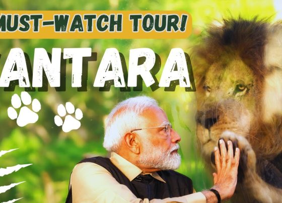 India’s Ambani family has long been synonymous with innovation and nation-building. From revolutionizing telecommunications to spearheading advancements in petrochemicals and digital services, their legacy continues to shape the country’s progress. Recently, Prime Minister Narendra Modi’s visit to Vantara, a groundbreaking wildlife rehabilitation initiative led by Anant Ambani, has thrust this ambitious project into the spotlight. This article delves into Vantara’s mission, its solutions to India’s wildlife crises, and the profound lessons it offers for global conservation efforts. Understanding Vantara: A Sanctuary for Rescued Wildlife Nestled in Jamnagar, Gujarat, Vantara (meaning “star of the forest”) spans over 3,000 acres and serves as a beacon of hope for abused and neglected animals. Since its inception, the facility has rescued over 150,000 animals across 2,000 species, including endangered elephants, tigers, cheetahs, and crocodiles. But Vantara is more than a sanctuary—it’s a holistic ecosystem addressing urgent gaps in India’s wildlife conservation framework. The Plight of India’s Wildlife: Why Vantara Matters India’s biodiversity is under siege. Despite hosting 60% of Asia’s elephant population and iconic species like the Bengal tiger, the country faces three critical challenges: Fragmented Conservation Efforts: Government initiatives receive only 5% of the national budget, while NGOs operate with limited resources. The Wildlife Crime Control Bureau reports over 500 elephants poached in the last decade, highlighting systemic failures. Inadequate Rehabilitation Infrastructure: Studies reveal that 60% of rehabilitated animals suffer chronic health issues due to subpar facilities. Saving animals without ensuring their long-term well-being undermines conservation goals. Lagging Innovation in Wildlife Medicine: India lacks species-specific medical protocols, leaving veterinarians ill-equipped to treat complex trauma or diseases in rescued animals. Vantara’s Three-Pillar Approach to Wildlife Conservation Anant Ambani’s vision for Vantara tackles these challenges through a blend of compassion, cutting-edge science, and scalable solutions. 1. Rapid Rescue Operations Vantara collaborates with global agencies to liberate animals from circuses, illegal logging camps, and exploitative parades. For instance, its team recently rescued 240 elephants from dire conditions, offering them a second chance at life. 2. Trauma-Informed Rehabilitation Each animal undergoes a customized care plan. Elephants, often psychologically scarred by captivity, receive therapies like: Hydrotherapy Pools: Heated water jets soothe muscle injuries. Ayurvedic Massages: Traditional techniques reduce stress and improve circulation. Hyperbaric Oxygen Therapy: Accelerates healing of wounds and infections. The facility’s 65,000 sq. ft. Elephant Hospital—the world’s largest—showcases innovations like non-invasive restraint devices and acupuncture tailored for pachyderms. 3. Pioneering Research in Wildlife Medicine Vantara bridges India’s research gap by developing species-specific vaccines and treatment protocols. For example, its team is trialing an elephant herpesvirus vaccine, a breakthrough that could save thousands of calves globally. Inside Vantara’s State-of-the-Art Facilities The Elephant Wellness Center: A Model for Ethical Care Beyond medical treatments, Vantara prioritizes mental health. Enclosures mimic natural habitats, with mud baths, shaded groves, and social herds to rebuild trust among traumatized elephants. High-Tech Diagnostics and Surgery Units Advanced imaging tools, including MRI and CT scanners, enable precise diagnoses. Surgeons have successfully removed bullets and poachers’ traps from big cats, setting new standards in veterinary care. Conservation Breeding Programs Vantara partners with the International Union for Conservation of Nature (IUCN) to breed endangered species like the Indian rhinoceros, ensuring genetic diversity and eventual reintroduction into protected forests. Anant Ambani’s Personal Journey: Passion Meets Purpose Despite battling health issues, Anant Ambani’s dedication to animals stems from childhood. His team often shares anecdotes of him hand-feeding injured birds or advocating against cruel tourist attractions. “Serving animals is ultimate peace,” one caretaker noted—a philosophy permeating Vantara’s culture. This commitment earned the project a Rashtriya Pashudhan Puraskar from PM Modi, recognizing its alignment with India’s sustainable development goals. Global Lessons from Vantara’s Ethical Model Ending Exploitative Tourism Vantara’s success contrasts sharply with venues like Thailand’s “elephant camps,” where animals endure abuse for entertainment. By prioritizing welfare over profit, Anant Ambani sets a blueprint for ethical ecotourism that educates visitors without compromising animal dignity. Collaborative Conservation Vantara’s partnerships with universities, NGOs, and tech firms demonstrate how cross-sector collaboration can amplify impact. For instance, AI-driven tracking systems monitor released animals, providing real-time data to forest departments. Community Engagement Local tribes near Jamnagar participate in conservation through employment and education programs, reducing human-wildlife conflicts and fostering stewardship. The Road Ahead: Scaling Vantara’s Vision Plans are underway to replicate Vantara’s model in other states, with a focus on marine life rescue centers and anti-poaching task forces. Anant Ambani’s goal? To make India a global leader in wildlife conservation by 2030. Final Thoughts: Why Vantara Inspires Change Vantara transcends traditional conservation by merging empathy with innovation. It challenges us to rethink humanity’s role in protecting Earth’s biodiversity—not as dominators, but as custodians. As Anant Ambani’s team often says, “Every rescued animal is a testament to what compassion can achieve.” What’s your take on Vantara’s mission? Share your thoughts below—and stay tuned for potential updates as we explore this sanctuary firsthand! By weaving cutting-edge science, ethical principles, and community-driven action, Vantara redefines wildlife conservation. Its story isn’t just about saving animals—it’s a call to reimagine our relationship with nature itself.