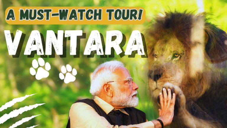 India’s Ambani family has long been synonymous with innovation and nation-building. From revolutionizing telecommunications to spearheading advancements in petrochemicals and digital services, their legacy continues to shape the country’s progress. Recently, Prime Minister Narendra Modi’s visit to Vantara, a groundbreaking wildlife rehabilitation initiative led by Anant Ambani, has thrust this ambitious project into the spotlight. This article delves into Vantara’s mission, its solutions to India’s wildlife crises, and the profound lessons it offers for global conservation efforts. Understanding Vantara: A Sanctuary for Rescued Wildlife Nestled in Jamnagar, Gujarat, Vantara (meaning “star of the forest”) spans over 3,000 acres and serves as a beacon of hope for abused and neglected animals. Since its inception, the facility has rescued over 150,000 animals across 2,000 species, including endangered elephants, tigers, cheetahs, and crocodiles. But Vantara is more than a sanctuary—it’s a holistic ecosystem addressing urgent gaps in India’s wildlife conservation framework. The Plight of India’s Wildlife: Why Vantara Matters India’s biodiversity is under siege. Despite hosting 60% of Asia’s elephant population and iconic species like the Bengal tiger, the country faces three critical challenges: Fragmented Conservation Efforts: Government initiatives receive only 5% of the national budget, while NGOs operate with limited resources. The Wildlife Crime Control Bureau reports over 500 elephants poached in the last decade, highlighting systemic failures. Inadequate Rehabilitation Infrastructure: Studies reveal that 60% of rehabilitated animals suffer chronic health issues due to subpar facilities. Saving animals without ensuring their long-term well-being undermines conservation goals. Lagging Innovation in Wildlife Medicine: India lacks species-specific medical protocols, leaving veterinarians ill-equipped to treat complex trauma or diseases in rescued animals. Vantara’s Three-Pillar Approach to Wildlife Conservation Anant Ambani’s vision for Vantara tackles these challenges through a blend of compassion, cutting-edge science, and scalable solutions. 1. Rapid Rescue Operations Vantara collaborates with global agencies to liberate animals from circuses, illegal logging camps, and exploitative parades. For instance, its team recently rescued 240 elephants from dire conditions, offering them a second chance at life. 2. Trauma-Informed Rehabilitation Each animal undergoes a customized care plan. Elephants, often psychologically scarred by captivity, receive therapies like: Hydrotherapy Pools: Heated water jets soothe muscle injuries. Ayurvedic Massages: Traditional techniques reduce stress and improve circulation. Hyperbaric Oxygen Therapy: Accelerates healing of wounds and infections. The facility’s 65,000 sq. ft. Elephant Hospital—the world’s largest—showcases innovations like non-invasive restraint devices and acupuncture tailored for pachyderms. 3. Pioneering Research in Wildlife Medicine Vantara bridges India’s research gap by developing species-specific vaccines and treatment protocols. For example, its team is trialing an elephant herpesvirus vaccine, a breakthrough that could save thousands of calves globally. Inside Vantara’s State-of-the-Art Facilities The Elephant Wellness Center: A Model for Ethical Care Beyond medical treatments, Vantara prioritizes mental health. Enclosures mimic natural habitats, with mud baths, shaded groves, and social herds to rebuild trust among traumatized elephants. High-Tech Diagnostics and Surgery Units Advanced imaging tools, including MRI and CT scanners, enable precise diagnoses. Surgeons have successfully removed bullets and poachers’ traps from big cats, setting new standards in veterinary care. Conservation Breeding Programs Vantara partners with the International Union for Conservation of Nature (IUCN) to breed endangered species like the Indian rhinoceros, ensuring genetic diversity and eventual reintroduction into protected forests. Anant Ambani’s Personal Journey: Passion Meets Purpose Despite battling health issues, Anant Ambani’s dedication to animals stems from childhood. His team often shares anecdotes of him hand-feeding injured birds or advocating against cruel tourist attractions. “Serving animals is ultimate peace,” one caretaker noted—a philosophy permeating Vantara’s culture. This commitment earned the project a Rashtriya Pashudhan Puraskar from PM Modi, recognizing its alignment with India’s sustainable development goals. Global Lessons from Vantara’s Ethical Model Ending Exploitative Tourism Vantara’s success contrasts sharply with venues like Thailand’s “elephant camps,” where animals endure abuse for entertainment. By prioritizing welfare over profit, Anant Ambani sets a blueprint for ethical ecotourism that educates visitors without compromising animal dignity. Collaborative Conservation Vantara’s partnerships with universities, NGOs, and tech firms demonstrate how cross-sector collaboration can amplify impact. For instance, AI-driven tracking systems monitor released animals, providing real-time data to forest departments. Community Engagement Local tribes near Jamnagar participate in conservation through employment and education programs, reducing human-wildlife conflicts and fostering stewardship. The Road Ahead: Scaling Vantara’s Vision Plans are underway to replicate Vantara’s model in other states, with a focus on marine life rescue centers and anti-poaching task forces. Anant Ambani’s goal? To make India a global leader in wildlife conservation by 2030. Final Thoughts: Why Vantara Inspires Change Vantara transcends traditional conservation by merging empathy with innovation. It challenges us to rethink humanity’s role in protecting Earth’s biodiversity—not as dominators, but as custodians. As Anant Ambani’s team often says, “Every rescued animal is a testament to what compassion can achieve.” What’s your take on Vantara’s mission? Share your thoughts below—and stay tuned for potential updates as we explore this sanctuary firsthand! By weaving cutting-edge science, ethical principles, and community-driven action, Vantara redefines wildlife conservation. Its story isn’t just about saving animals—it’s a call to reimagine our relationship with nature itself.