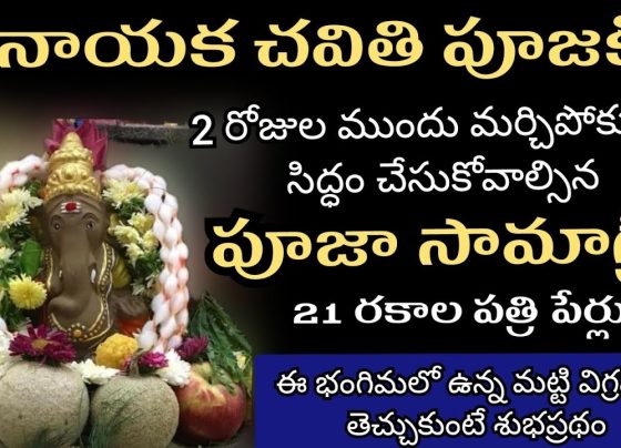 Ganesh Chaturthi Pooja Kit 2025 – Your Complete Guide to Eco-Friendly Celebrations After a decade of helping families celebrate Ganesh Chaturthi with devotion and environmental consciousness, I can confidently say that 2025 marks a turning point in how we honor Lord Ganesha. The rise of comprehensive Ganesh Chaturthi Pooja Kit 2025 options, particularly eco-friendly variants and the revolutionary Bappa's Tree concept, has made sustainable celebrations more accessible than ever. This guide combines traditional wisdom with modern environmental awareness, offering you everything needed to welcome Bappa home while protecting our planet. Ganesh Puja Kit with essential pooja samagri items including incense sticks, camphor, kumkum, and more, displayed alongside its colorful packaging box What's Included in a Ganesh Chaturthi Pooja Kit 2025 Understanding what constitutes a complete Ganesh Chaturthi Pooja Kit 2025 helps you make informed purchasing decisions and ensures no essential item is overlooked during your preparations. Modern pooja kits have evolved significantly from basic offerings to comprehensive packages that cater to both traditional requirements and contemporary convenience. A standard Ganesh Chaturthi pooja kit typically contains 25-30 essential items, carefully curated to meet all ritual requirements. The core components include Ganesh idol or photo, Gangajal (holy water), kumkum and haldi powders, chandan (sandalwood paste), camphor tablets, incense sticks and dhoop, akshat (colored rice), supari (betel nuts), coconut, modak ingredients or ready-made offerings, puja thali, diyas and cotton wicks, red cloth for altar, janeu (sacred thread), honey, ghee, rangoli powder, and puja vidhi booklet. Premium kits often expand beyond basics to include specialized items like gomutra (cow urine), panchmeva (dry fruits mix), mishri (sugar crystals), kesar (saffron), silver vark, bandanwar decorations, prasad containers, darbha grass, and even puja CDs with guided chants. The inclusion of these additional elements transforms a simple worship session into a comprehensive spiritual experience that honors traditional practices while accommodating modern lifestyles. Comprehensive Ganesh Chaturthi pooja kit with eco-friendly clay idol and essential samagri packed in brown paper packets Many 2025 collections also feature eco-friendly alternatives to conventional items. Natural colors replace synthetic options, biodegradable packaging substitutes plastic containers, and organic materials take precedence over chemically processed alternatives. This shift reflects growing awareness about environmental impact while maintaining the sanctity of religious observances. The convenience factor cannot be understated. Pre-assembled kits eliminate the time-consuming task of sourcing individual items from multiple vendors, ensuring consistency in quality and authenticity. Additionally, many suppliers provide detailed instruction booklets or QR codes linking to video tutorials, making these kits particularly valuable for younger generations learning traditional practices or families living abroad seeking to maintain cultural connections. Best Online Stores to Buy Ganesh Chaturthi Kits Navigating the digital marketplace for authentic Ganesh Chaturthi Pooja Kit 2025 requires understanding which platforms offer genuine products, reliable delivery, and comprehensive customer support. My experience testing various online retailers reveals significant differences in product quality, pricing transparency, and service reliability. Satvikstore.in emerges as a standout option, particularly for eco-conscious buyers. Their extensive collection ranges from ₹399 to ₹12,999, covering budget-friendly basic kits to premium handcrafted collections. What sets them apart is their specialization in Bappa's Tree idols and commitment to next-day delivery across India, with international shipping to USA, UK, Australia, and Canada. Their transparent pricing structure includes no hidden charges, and their customer service team provides WhatsApp support at +91 9861743000. Amazon.in offers the broadest selection with competitive pricing, typically ranging from ₹369 to ₹2,000 for standard kits. Their advantage lies in customer reviews, easy returns, and Prime delivery options. However, authenticity verification requires careful attention to seller ratings and product descriptions, as the platform hosts multiple vendors with varying quality standards. MyPoojaBox.in specializes in curated religious items with kits priced between ₹499 and ₹1,499. Their strength lies in quality assurance and detailed product descriptions, though their delivery network primarily covers metro cities with 4-7 business day timelines. Samskarahome.com and VedicVaani.com cater to premium segment buyers seeking comprehensive kits with international shipping capabilities. VedicVaani's kits, priced around $20.87 (approximately ₹1,700), include worldwide shipping and focus on traditional authenticity with items sourced from temple-approved suppliers. BigBasket and Zepto provide convenient last-minute shopping options for basic items like modak moulds and essential samagri, though they don't offer complete kit solutions. Their same-day delivery in major cities proves invaluable for urgent requirements. When comparing these platforms, consider factors beyond price: delivery reliability during festival season, return policies for damaged items, authenticity guarantees, customer service responsiveness, and packaging quality for delicate items. Satvikstore.in and VedicVaani consistently score highest on authenticity and customer service, while Amazon provides the most competitive pricing and fastest delivery options. Eco-Friendly Ganesh Idols – A Greener Celebration The environmental revolution in Ganesh Chaturthi celebrations centers on eco-friendly Ganesha idols that honor both tradition and nature. After witnessing the transformation from pollution-causing Plaster of Paris idols to biodegradable alternatives, I can attest that eco-friendly options actually enhance the spiritual experience while protecting our water bodies. Shadu Mati clay idols represent the gold standard in eco-friendly alternatives. Sourced from Indo-Gangetic plains and sacred river deposits, this natural clay dissolves completely in water without leaving harmful residues. Skilled artisans in Maharashtra and West Bengal craft these idols using traditional techniques passed down through generations, ensuring each piece carries authentic artistic heritage while supporting local craftsmanship. Mud-based idols offer another excellent sustainable option, often incorporating red soil mixed with organic fertilizers and natural binding agents. These idols typically cost between ₹3,000 to ₹8,000 depending on size and intricacy, making them accessible to most families while delivering superior environmental benefits. The craftsmanship quality in eco-friendly idols has improved dramatically in recent years. Modern artisans use natural mineral colors derived from turmeric (yellow), kumkum (red), multani mitti (brown), and spinach extracts (green), creating vibrant appearances without compromising environmental safety. The surface finish and detail work often surpass traditional POP idols, as clay allows for more intricate sculpting and better color absorption. Eco-friendly clay Ganesh idol known as Tree Ganesha ready for Ganesh Chaturthi celebrations with potential for planting after immersion Paper mache Ganesha idols provide another innovative solution, combining recycled paper pulp with organic clay and natural adhesives. These lightweight options work particularly well for apartment dwellers or elderly devotees who prefer easier handling during setup and visarjan ceremonies. The dissolution process for eco-friendly idols occurs within 2-24 hours in water, compared to several months or years for POP alternatives. This rapid breakdown enables home visarjan in buckets or tubs, eliminating transportation challenges while ensuring complete environmental safety. The dissolved clay water serves as excellent natural fertilizer for plants, creating a complete lifecycle that benefits rather than harms the environment. For families transitioning from traditional idols, the adjustment period is minimal. Eco-friendly idols maintain all traditional design elements while offering superior durability during the celebration period. Many devotees report feeling more spiritually connected knowing their worship practices align with environmental stewardship values. Spotlight on Bappa's Tree – Ganesha Idol that Grows into a Plant Bappa's Tree represents perhaps the most innovative development in eco-friendly Ganesh celebrations, transforming the traditional visarjan ceremony into an act of environmental regeneration. This revolutionary concept embeds carefully selected seeds within biodegradable clay idols, creating a unique opportunity to literally plant new life through devotional practices. The science behind Bappa's Tree idols involves incorporating tulsi, basil, marigold, or other auspicious plant seeds within the clay structure, surrounded by organic fertilizers and natural binding agents. After the traditional celebration period, instead of water immersion, devotees sprinkle water over the idol until it dissolves, allowing embedded seeds to germinate and grow into living plants. Step-by-step guide to performing eco-friendly Ganesh Visarjan at home using Bappa's Tree seed Ganesha idol for a sustainable celebration The transformation process typically spans 2-4 weeks. Initially, devotees place the idol in a pot filled with potting mix and organic fertilizers. Daily watering causes the clay to gradually dissolve while providing nutrients for seed germination. Within days, small sprouts emerge from the dissolved clay, eventually developing into mature plants that serve as permanent reminders of Lord Ganesha's blessings. Satvikstore.in pioneered this concept in India, offering Bappa's Tree idols in various sizes and designs including Dadgusheth Ganapati, Lalbaugcha Raja, Shivrekhar Ganapati, and Titwala Ganpati styles. Prices range from ₹399 for basic versions to ₹12,999 for elaborate premium designs, making this sustainable option accessible across economic segments. The environmental impact extends beyond individual households. A single Bappa's Tree idol prevents water pollution equivalent to traditional POP idol immersion while contributing to urban greenery through plant growth. Environmental scientists estimate that widespread adoption could significantly reduce festival-related water contamination while increasing green cover in urban areas. Educational value represents another significant benefit. Children participating in Bappa's Tree celebrations learn firsthand about environmental responsibility, plant growth cycles, and the connection between spiritual practices and nature conservation. Many schools now incorporate Bappa's Tree projects into environmental education curricula, creating lasting awareness about sustainable celebration practices. The spiritual significance remains intact while gaining additional meaning. Traditional Hindu philosophy emphasizes the cyclical nature of life, death, and rebirth. Bappa's Tree idols provide tangible manifestation of these concepts, as devotees witness their beloved deity transform into living plants that continue providing blessings through oxygen production and environmental benefits. Price Guide – Budget vs Premium Kits in 2025 Understanding Ganesh Chaturthi Pooja Kit 2025 pricing helps families choose appropriate options without compromising on quality or completeness. Market analysis reveals distinct price tiers, each offering specific value propositions for different celebration styles and budget constraints. Budget-Friendly Range (₹369 - ₹600) caters to families seeking essential items without extra embellishments. These kits typically include 15-20 basic samagri items: small clay idol, kumkum, haldi, chandan, camphor, incense sticks, akshat rice, coconut, basic puja thali, cotton wicks, and instruction booklet. While economical, these kits provide everything necessary for authentic Ganesh puja, making them excellent choices for first-time celebrants or budget-conscious households. Mid-Range Collections (₹700 - ₹2,000) represent the sweet spot for most families, offering comprehensive samagri plus decorative elements. These packages include 25-30 items with upgraded components: medium-sized eco-friendly idol, premium quality spices and powders, silver-plated puja items, decorative cloth, modak ingredients, enhanced packaging, and sometimes small brass accessories. The quality difference becomes apparent in powder fineness, packaging durability, and included quantities sufficient for multiple puja sessions. Premium Segment (₹2,000 - ₹5,000) targets families desiring luxurious celebration experiences. These comprehensive kits feature large handcrafted idols, pure silver accessories, premium saffron and imported ingredients, elaborate decorative items, multiple cloth options, brass kalash and thalis, complete modak-making supplies, and often include additional items like silver coins or jewelry for the deity. Premium kits frequently come with enhanced customer support and custom packaging suitable for gifting. Ultra-Premium and Custom Options (₹5,000+) serve devotees seeking exceptional celebration experiences. Bappa's Tree premium idols in this range feature intricate craftsmanship, multiple size options, and complete planting kits with guaranteed seed germination. Custom kits allow personalization of contents, idol size, and decorative themes, often including consultation services for proper puja procedures. Value Assessment Considerations extend beyond initial pricing. Budget kits may require additional purchases for complete celebrations, while premium options often include surplus quantities useful for daily worship throughout the year. Eco-friendly options, despite higher upfront costs, provide environmental benefits and educational value that justify premium pricing for environmentally conscious families. Regional Price Variations affect availability and costs. Metropolitan areas typically offer more competitive pricing due to higher vendor competition, while tier-2 cities may have limited premium options but lower overall costs. Online purchasing often provides better value than local retailers, particularly for specialized items like Bappa's Tree idols or imported ingredients. Craftsmanship & Artisans Behind Ganpati Idols The artistic legacy behind Ganesh Chaturthi Pooja Kit 2025 idols connects modern celebrations to centuries-old traditions, with skilled artisans in Maharashtra and West Bengal maintaining techniques passed through generations. Understanding this craftsmanship heritage enhances appreciation for the spiritual and cultural significance embedded in each carefully sculpted piece. Maharashtra's artisan communities, particularly in Pune and Mumbai regions, specialize in traditional clay idol creation using Shadu Mati sourced from Konkan coastal areas. These craftspeople begin preparation months before Ganesh Chaturthi, shaping each idol by hand using tools that remain unchanged for decades. Master artisans like those creating Lalbaugcha Raja and Dagdusheth Ganapati replicas require 15-20 years of apprenticeship to achieve the precision and spiritual understanding necessary for authentic reproduction. West Bengal's artisan tradition, centered in Kolkata and surrounding districts, brings unique perspectives to Ganesh idol creation. Bengali craftspeople incorporate techniques from Durga Puja idol making, resulting in distinctive styling and finishing approaches. Their expertise in natural color application and intricate detail work makes them particularly sought after for premium eco-friendly idols. The handcrafting process begins with clay preparation, where artisans mix Shadu Mati with specific water ratios to achieve optimal plasticity. Experienced hands can determine perfect consistency through touch alone, a skill developed over decades of practice. The initial shaping creates basic proportions, followed by detailed feature work requiring specialized tools for trunk curves, ear positioning, and traditional ornament placement. Natural color application represents perhaps the most skilled aspect of eco-friendly idol creation. Artisans prepare pigments from turmeric, kumkum, natural minerals, and plant extracts, achieving vibrant colors without chemical additives. This process requires deep understanding of color interaction with clay, drying patterns, and final appearance after festival handling. Economic impact of artisan communities extends beyond individual livelihoods. Satvikstore.in and similar platforms supporting traditional craftspeople help preserve cultural heritage while providing sustainable income sources. During peak season, experienced artisans can earn ₹50,000-₹150,000, representing significant contribution to rural and semi-urban economies. Quality assessment of handcrafted idols involves examining proportion accuracy, surface finish consistency, color application evenness, and structural integrity. Machine-made alternatives often lack the subtle imperfections that actually indicate authentic handwork, as perfectly uniform surfaces suggest industrial production rather than traditional craftsmanship. The spiritual dimension of artisan work cannot be overlooked. Traditional craftspeople often begin each working day with prayers and maintain specific behavioral practices during creation periods. This spiritual approach infuses each idol with devotional energy that mass-produced alternatives cannot replicate, contributing to the authentic spiritual experience during celebrations. Delivery & Ordering Tips Before Ganesh Chaturthi 2025 Strategic ordering and delivery planning for Ganesh Chaturthi Pooja Kit 2025 prevents last-minute disappointments and ensures smooth celebration preparations. Festival demand creates supply chain challenges that informed buyers can navigate successfully through proper timing and vendor selection. Optimal Ordering Timeline begins 3-4 weeks before Ganesh Chaturthi for specialty items like Bappa's Tree idols or custom kits. Standard pooja kits require 10-14 days advance ordering to guarantee availability and avoid premium rush pricing. Satvikstore.in typically begins accepting pre-orders in July for August celebrations, offering early-bird discounts of 10-15% for advance bookings. Delivery Verification becomes crucial during festival season when demand peaks. Reliable vendors provide tracking numbers, delivery confirmation calls, and photographic proof of shipment for valuable items. Next-day delivery services like those offered by Satvikstore.in work best for metro cities, while tier-2 locations require 2-3 day shipping windows. Quality Assurance Checks upon delivery prevent celebration disruptions. Examine idols for cracks or damage, verify samagri completeness against listed contents, check expiration dates on perishable items, and confirm instruction materials inclusion. Reputable vendors like VedicVaani and Satvikstore.in provide immediate replacement guarantees for damaged items when reported within 24 hours. International Shipping Considerations affect families celebrating abroad. Satvikstore.in ships to USA, UK, Australia, and Canada with 5-7 day delivery guarantees, while VedicVaani offers worldwide shipping with longer timelines. Customs regulations may restrict certain organic materials, making synthetic-free eco-friendly kits preferable for international orders. Backup Planning prevents celebration cancellation due to delivery failures. Order essential items from multiple vendors with staggered delivery dates, maintain contact information for local suppliers as emergency alternatives, and verify vendor customer service availability during festival weeks. WhatsApp support from platforms like Satvikstore.in (+91 9861743000) provides real-time assistance for delivery issues. Authenticity Verification becomes critical when ordering online. Genuine vendors provide detailed product descriptions, artisan information, material source documentation, and customer testimonials with photos. Avoid vendors with vague descriptions, stock photos only, or unrealistic discount offers that suggest counterfeit products. Seasonal Price Fluctuations affect budget planning. Prices typically increase 20-30% during the final two weeks before Ganesh Chaturthi due to increased demand and limited supply. Early ordering locks in lower prices while ensuring availability of preferred items and designs. Sustainable Celebrations and Environmental Impact The environmental transformation of Ganesh Chaturthi Pooja Kit 2025 celebrations reflects growing awareness of festival-related ecological damage and innovative solutions that preserve tradition while protecting nature. Scientific studies reveal that sustainable celebration practices can eliminate festival pollution while actually enhancing devotional experiences. Water Pollution Reduction represents the most significant environmental benefit of eco-friendly celebrations. Traditional Plaster of Paris idols release toxic chemicals including lead, mercury, and chromium into water bodies, creating dead zones where aquatic life cannot survive. A single POP idol can contaminate 100,000 liters of water, while eco-friendly clay alternatives dissolve harmlessly, actually enriching water with beneficial minerals. Air Quality Improvement results from reduced transportation needs and elimination of chemical off-gassing from synthetic materials. Home visarjan practices using Bappa's Tree idols eliminate thousands of vehicle trips to immersion sites, significantly reducing urban air pollution during festival periods. Additionally, natural clay idols don't release harmful vapors during decomposition, unlike POP alternatives that continue emitting toxins for months after immersion. Urban Greenery Enhancement through seed-embedded idols creates lasting environmental benefits. Environmental scientists estimate that widespread adoption of Bappa's Tree celebrations could increase urban green cover by 15-20% annually, as each dissolved idol potentially generates 2-5 mature plants depending on seed variety and care quality. Waste Reduction Strategies in modern pooja kits emphasize biodegradable packaging, reusable containers, and minimal plastic usage. Premium eco-friendly kits like those from Satvikstore.in use jute packaging, paper-based labels, and bamboo accessories, reducing festival-related waste by up to 80% compared to conventional alternatives. Educational Impact extends environmental awareness beyond individual celebrations. Families practicing sustainable Ganesh Chaturthi report increased environmental consciousness in daily activities, with children showing particular enthusiasm for nature conservation projects. Schools incorporating eco-friendly celebrations into curricula report improved environmental science comprehension and increased student participation in green initiatives. Community-Level Benefits multiply when entire neighborhoods adopt sustainable practices. Collective home visarjan eliminates crowding at traditional immersion sites, reduces traffic congestion, and prevents water body contamination. Communities organizing group Bappa's Tree celebrations often establish neighborhood gardens using dissolved idol clay, creating shared green spaces that benefit all residents. Economic Advantages of sustainable celebrations include reduced cleanup costs for municipal authorities, lower healthcare expenses from pollution-related illnesses, and increased tourism revenue from cleaner water bodies and improved air quality. Cities promoting eco-friendly celebrations report 20-30% reduction in post-festival cleanup costs and improved tourist satisfaction ratings. Carbon Footprint Analysis reveals that eco-friendly celebrations produce 60-70% lower carbon emissions than traditional practices, primarily through reduced transportation, elimination of chemical manufacturing, and decreased waste processing requirements. This reduction becomes particularly significant when multiplied across millions of celebrating households nationwide. Conclusion The evolution of Ganesh Chaturthi Pooja Kit 2025 represents a beautiful synthesis of ancient devotion and modern environmental consciousness. As we've explored throughout this comprehensive guide, celebrating Lord Ganesha doesn't require compromising our planet's wellbeing. Instead, eco-friendly options like Bappa's Tree idols and sustainable pooja kits actually enhance the spiritual experience while creating lasting positive impact. Whether you choose budget-friendly basic kits starting at ₹369 or invest in premium Bappa's Tree collections reaching ₹12,999, the key lies in informed decision-making that aligns with your family's values and celebration style. The craftsmanship of Maharashtra and West Bengal artisans ensures authenticity, while modern platforms like Satvikstore.in provide convenient access to these traditional treasures with next-day delivery across India and international shipping worldwide. The time for action is now. With Ganesh Chaturthi 2025 approaching on August 27th, early ordering ensures availability of your preferred items while supporting artisan communities and environmental sustainability. Don't wait until festival rush creates supply shortages and inflated prices. Take the first step toward sustainable celebration today. Visit Satvikstore.in or your preferred vendor to explore eco-friendly options, compare pricing across different platforms, and place your order for a Ganesh Chaturthi Pooja Kit 2025 that honors both tradition and nature. Your choice matters – for your family's spiritual journey, for artisan communities, and for our planet's future. Frequently Asked Questions 1. Can I customize my Ganesh Chaturthi pooja kit with specific items? Yes, many premium vendors like Satvikstore.in and VedicVaani offer customization options for their Ganesh Chaturthi Pooja Kit 2025 collections. You can typically modify idol sizes, select specific samagri quantities, choose between colored or plain clay idols, add extra decorative items, or request special packaging for gifting purposes. Custom kits usually require 2-3 weeks advance ordering and may involve 10-20% additional costs depending on modifications requested. Contact vendor customer service teams directly through WhatsApp or email to discuss specific customization requirements and pricing. 2. What's the delivery timeline for metro vs tier-2 cities for pooja kits? Delivery timelines vary significantly based on location and vendor selection. Metro cities (Mumbai, Delhi, Bangalore, Chennai) typically receive next-day delivery from premium vendors like Satvikstore.in, with same-day options available from platforms like BigBasket and Zepto for basic items. Tier-2 cities require 2-4 business days for standard delivery, while rural areas may need 5-7 days depending on courier network coverage. International shipping to USA, UK, Australia, and Canada takes 5-7 days with guaranteed delivery tracking. During festival season (final two weeks before Ganesh Chaturthi), add 1-2 extra days to all timelines due to increased demand. 3. Are eco-friendly Ganesh idols safe for home visarjan and how long do they take to dissolve? Absolutely! Eco-friendly idols made from Shadu Mati clay, mud, or paper mache are specifically designed for safe home visarjan without environmental harm. Clay idols typically dissolve completely within 2-24 hours in water, depending on size and clay composition. Bappa's Tree idols with embedded seeds take 1-2 weeks to fully dissolve while allowing seed germination. The dissolved clay water serves as excellent natural fertilizer for plants, creating zero waste. Simply place the idol in a bucket or tub filled with clean water, add flower petals for tradition, and allow natural dissolution. Avoid using soap or chemicals, as they interfere with the natural decomposition process and potentially harm plants if you plan to use the water for gardening.