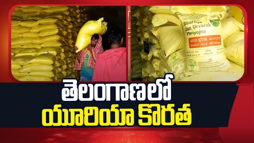 In the heart of India's agricultural landscape, Telangana farmers face a pressing challenge: a severe urea shortage that threatens crop yields and livelihoods. As the Kharif season unfolds in 2025, this crisis has sparked heated debates, protests, and political finger-pointing. But what really causes this shortage? How does it impact local farmers, and what steps does the Telangana government take to address it? In this comprehensive guide, we dive deep into the urea shortage in Telangana, exploring global influences, domestic production hurdles, political dynamics, and innovative solutions. Whether you're a farmer in Hyderabad, Warangal, or Nizamabad seeking clarity, or an agriculture enthusiast tracking fertilizer trends in India, this article uncovers the facts to help you understand and navigate the issue. Understanding Urea's Role in Telangana Agriculture Urea stands as a cornerstone of modern farming, providing essential nitrogen that boosts plant growth and enhances crop productivity. In Telangana, where agriculture employs over 60% of the population and contributes significantly to the state's economy, urea demand soars during planting seasons like Kharif. Farmers rely on this affordable fertilizer to cultivate paddy, cotton, maize, and other staples that feed millions and drive exports. Telangana's fertile lands, irrigated by projects like the Godavari and Krishna river systems, have transformed the region into a key rice bowl. However, the state's dependence on urea—often subsidized to keep costs low—exposes vulnerabilities when supplies falter. In 2025, the urea shortage in Telangana echoes broader national and global fertilizer challenges, but it hits hardest here due to the state's intensive farming practices. Experts estimate that inadequate urea can reduce yields by up to 30%, leading to financial losses and food security risks. To grasp the current crisis, consider urea's journey from production to fields. India imports a large portion of its urea, supplementing domestic output from plants like those operated by the National Fertilizers Limited (NFL) and Ramagundam Fertilizer Corporation Ltd. (RFCL). Disruptions anywhere along this chain ripple through to farmers, amplifying the urgency for transparent information and effective interventions. Global Geopolitics Fueling Urea Import Disruptions in India Global events often dictate local realities, and the urea shortage in Telangana exemplifies this interconnectedness. In 2025, international conflicts and logistical bottlenecks severely hamper urea imports, creating a domino effect on Indian agriculture. The ongoing Russia-Ukraine war disrupts key supply chains, as Russia ranks among the world's top urea exporters. Sanctions and blockades limit shipments, driving up prices and delaying deliveries. Similarly, tensions between Iran and Israel add instability in the Middle East, affecting fertilizer trade routes. Compounding these issues, attacks on shipping in the Red Sea—linked to Houthi rebels—force vessels to reroute around Africa, increasing transit times and costs. For Telangana specifically, the central government allocated 3.94 lakh metric tonnes (LMT) of imported urea for the April to August 2025 period. Yet, due to these global disruptions, only a fraction arrives on time. Out of the promised 3.96 LMT, suppliers deliver just 2.10 LMT, leaving a gaping shortfall. This isn't isolated; farmers across India, from Punjab to Tamil Nadu, grapple with similar delays. Imagine a farmer in Karimnagar district, preparing fields for paddy sowing, only to find empty fertilizer depots. These import hiccups not only strain supplies but also inflate black market prices, where urea bags sell at premiums of 50-100%. To mitigate this, experts advocate diversifying import sources, perhaps turning to stable suppliers like China or the United States, though geopolitical risks persist. Domestic Production Challenges: The RFCL Shutdown and Its Ripple Effects While imports grab headlines, domestic production issues form the core of Telangana's urea woes. The central government primarily assigns urea from the Ramagundam Fertilizer Corporation Ltd. (RFCL) to the state, leveraging its proximity in Peddapalli district. However, operational setbacks at RFCL exacerbate the crisis. In 2025, RFCL allocates 1.69 LMT to Telangana, but delivers only 1.06 LMT by August. A major shutdown lasting 78 days since May—due to technical glitches, maintenance needs, and possibly supply chain interruptions—results in a 62,000 metric tonne deficit. This underproduction isn't new; RFCL, a joint venture between NFL and Engineers India Ltd., has faced efficiency challenges since its commissioning in 2021. Telangana's agriculture ministry highlights how these domestic failures compound global problems, creating a nationwide shortage. Even states governed by the Bharatiya Janata Party (BJP), such as Madhya Pradesh and Uttar Pradesh, witness farmer protests over urea scarcity. In Madhya Pradesh, reports indicate queues stretching for kilometers, while Uttar Pradesh farmers stage dharnas demanding supplies. Why does this matter for Telangana? The state's allocation for Kharif 2025 totals 9.80 LMT from the center, with 8.30 LMT earmarked by August. Yet, actual supplies reach only 5.72 LMT, yielding a 2.58 LMT shortfall. This gap forces farmers to delay planting or use suboptimal alternatives, risking lower harvests amid rising input costs. Addressing domestic production requires investment in plant modernization and capacity expansion. Initiatives like the Atmanirbhar Bharat campaign aim to boost self-reliance, but progress lags. Telangana officials push for more allocations from efficient plants like those in Gujarat or Odisha to bridge the immediate void. Political Narratives and Misinformation Surrounding Telangana Urea Shortage Politics often muddies the waters in agricultural crises, and the urea shortage in Telangana is no exception. Opposition parties seize the opportunity to criticize the state government, fueling panic and division among farmers. The Bharat Rashtra Samithi (BRS), formerly the ruling party, orchestrates dramatic protests to highlight the issue. They organize events where farmers line up with slippers symbolizing frustration, stage skits mimicking birthday celebrations with fake urea bags, and flood social media with claims blaming Chief Minister Revanth Reddy's administration. These tactics, while attention-grabbing, distract from constructive solutions and heighten farmer anxiety. Meanwhile, BJP leaders in Telangana point fingers at the state government, conveniently overlooking similar struggles in BJP-ruled states. This selective narrative ignores the central government's role in imports and allocations, shifting blame downward. As Agriculture Minister Thummala Nageswara Rao asserts in his open letter, these actions politicize a genuine crisis without aiding farmers. Instead of fostering unity, they deepen distress. Farmers in districts like Khammam or Medak, already stressed by erratic monsoons, deserve facts over fiction. To counter misinformation, the Telangana government launches awareness campaigns via Rythu Bandhu portals and village meetings. Educating farmers on verified supply updates and alternatives empowers them to make informed decisions, reducing the impact of political theater. Telangana Government's Proactive Measures Against Urea Crisis Amid the chaos, the Telangana government under Chief Minister Revanth Reddy takes decisive action to secure urea supplies. Anticipating import vulnerabilities, state officials lobby the center relentlessly for adjustments. From early 2025, the agriculture department sends seven formal letters to the Union Ministry of Chemicals and Fertilizers, urging a shift from import-dependent allocations to domestic sources. Chief Minister Reddy personally discusses the matter with the Union Minister, emphasizing Telangana's needs. Additionally, Telangana MPs stage protests in Delhi and meet key officials to amplify the state's voice. These efforts yield results: The center commits to an extra 50,000 MT, with 35,000 MT arriving recently. This infusion eases immediate pressures, allowing distribution to priority areas like paddy-growing zones. Beyond advocacy, the state explores on-ground strategies. They streamline distribution through Primary Agricultural Cooperative Societies (PACS), ensuring equitable access. Mobile apps track stock levels in real-time, helping farmers locate available urea without endless queues. Looking ahead, Telangana invests in farmer training programs on efficient urea usage, promoting techniques like soil testing to optimize application. These initiatives not only address the current shortage but build resilience for future seasons. Impact of Urea Shortage on Telangana Farmers and Economy The urea crisis extends far beyond empty shelves; it strikes at the core of Telangana's rural economy. Farmers, many smallholders with less than two hectares, face dire consequences. Delayed urea application stunts crop growth, potentially slashing paddy yields by 20-40% in rain-fed areas. In Nalgonda district, for instance, cotton farmers report wilting plants due to nitrogen deficiency, leading to estimated losses of ₹5,000-10,000 per acre. This financial strain pushes some into debt, exacerbating rural poverty. Economically, Telangana's GDP, with agriculture contributing around 15%, suffers. Reduced harvests could inflate food prices, affecting urban consumers in Hyderabad and beyond. Export-oriented crops like chilies and turmeric face quality dips, harming India's global trade position. Socially, the shortage breeds frustration, fueling migrations to cities or shifts to non-farm jobs. Women farmers, who often handle fertilizer application, bear additional burdens. Health impacts arise too, as over-reliance on alternatives might degrade soil, leading to long-term fertility issues. Yet, resilient Telangana farmers adapt. Some turn to organic manures or bio-fertilizers, though scaling these remains challenging. Community groups in Adilabad share resources, demonstrating grassroots solidarity amid adversity. Exploring Alternatives: Nano Urea and Balanced Fertilization in Telangana Innovation offers hope in tackling urea dependency. Nano urea, a liquid formulation developed by IFFCO, emerges as a game-changer for Telangana farmers. This eco-friendly alternative delivers nitrogen more efficiently, with one 500ml bottle equating to a 45kg urea bag. It reduces leaching, cuts costs by up to 50%, and improves soil health by minimizing chemical residues. In pilot programs in Mahabubnagar, nano urea boosts yields while lowering water usage—a boon in drought-prone areas. The government promotes nano urea through subsidies and demos, aiming for widespread adoption. However, challenges like awareness gaps and initial skepticism persist. Training sessions address these, teaching farmers application methods via drones or sprayers. Another strategy involves balancing fertilizers. Urea's low price (₹266 per bag) contrasts sharply with complex fertilizers like DAP (₹1,350+) or NPK blends (₹1,500+). This disparity encourages overuse of urea, depleting soils of phosphorus and potassium. Telangana advocates price rationalization to encourage diversified usage. By narrowing the gap, farmers can adopt integrated nutrient management, blending urea with organics for sustainable farming. Long-term, this reduces import reliance and enhances productivity. Long-Term Solutions: Boosting Domestic Urea Production in India To prevent recurring shortages, India must strengthen domestic urea production. Telangana's demands align with national goals, pushing for expanded capacities. Key proposals include reviving closed plants like those in Sindri or Gorakhpur, and investing in green urea technologies using renewable energy. RFCL's upgrades could add 1-2 LMT annually, directly benefiting Telangana. Policy reforms, such as the New Urea Policy 2025, aim to incentivize efficiency. Public-private partnerships attract investments, while R&D focuses on drought-resistant crops needing less nitrogen. For Telangana, local initiatives like establishing mini-urea units in industrial hubs could decentralize production. Collaborations with research bodies like ICRISAT in Hyderabad develop tailored solutions, integrating AI for demand forecasting. Global diplomacy plays a role too—securing stable trade pacts ensures buffer stocks. By 2030, these efforts could make India urea self-sufficient, shielding farmers from external shocks. Appeal to Telangana Farmers: Unity Amid Adversity Farmers of Telangana, your perseverance fuels the nation's growth. The current urea shortage stems not from state neglect but from central inefficiencies and global turmoil. Under Chief Minister Revanth Reddy's leadership, your government fights tirelessly for fair allocations. Resist misleading narratives from BRS agitations or BJP blame-shifting. Instead, engage with local agriculture officers for updates and alternatives. Together, we ensure no farmer lacks essential inputs. Thummala Nageswara Rao, as your Agriculture Minister, commits to transparency and action. We will secure every due urea bag, fostering a prosperous Telangana. Comparative Analysis: Urea Shortages in Other Indian States Telangana isn't alone; urea crises plague multiple states in 2025. In BJP-ruled Uttar Pradesh, allocations of 20.65 LMT yield only partial supplies, sparking protests in Lucknow. Madhya Pradesh reports 7.95 LMT shortfalls, with farmers blocking highways. Contrastingly, Punjab manages better through robust cooperatives, receiving 7.85 LMT on time. Tamil Nadu, facing similar import issues, supplements with state subsidies for alternatives. This comparison underscores that the problem is systemic, not regional. Telangana's proactive lobbying sets an example, potentially inspiring interstate collaborations for joint demands from the center. Environmental Implications of Urea Overuse and Shortages Urea's environmental footprint demands attention. Excessive application pollutes groundwater with nitrates, harming ecosystems in Telangana's Krishna basin. Shortages, ironically, force reflection on sustainable practices. Promoting precision farming—using sensors for targeted application—cuts waste. Organic farming hubs in Suryapet demonstrate viability, yielding comparable outputs with less environmental harm. Climate change amplifies risks; erratic rains in 2025 heighten urea's importance yet expose supply vulnerabilities. Telangana's Green Revolution 2.0 initiative integrates climate-smart agriculture, blending tech with tradition for eco-resilient farming.