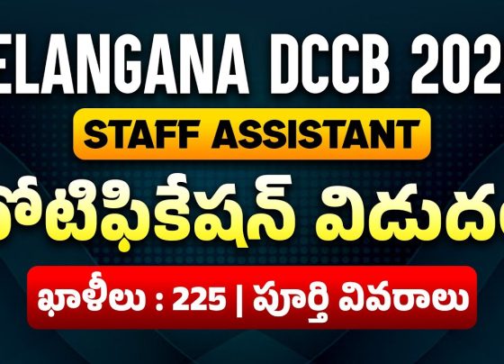 DCCB Staff Assistant Notification 2025: Complete Application Guide for TGCAB Banking Recruitment The Telangana State Cooperative Apex Bank (TGCAB) has released an exciting employment opportunity for aspiring banking professionals through the DCCB Staff Assistant Notification 2025. This comprehensive recruitment drive aims to fill 225 vacant positions across six District Cooperative Central Banks (DCCBs) in Telangana, offering candidates a promising career path in the cooperative banking sector. The notification marks a significant opportunity for graduates seeking stable employment with competitive remuneration and excellent career growth prospects in the state's banking infrastructure.​ The DCCB Staff Assistant recruitment represents one of the most anticipated banking job announcements in Telangana for 2025, with applications opening on October 18, 2025, and continuing until November 6, 2025. This article provides an exhaustive overview of the recruitment process, eligibility requirements, application procedures, examination structure, and career benefits associated with the Staff Assistant position, ensuring candidates have all necessary information to successfully navigate the application process. Understanding the DCCB Banking Structure in Telangana District Cooperative Central Banks play a crucial role in Telangana's rural and semi-urban financial ecosystem. These institutions serve as the middle tier in the three-tiered cooperative banking structure, bridging State Cooperative Banks at the apex level and Primary Agricultural Credit Societies (PACS) at the grassroots level. As of 2025, India has 351 DCCBs operating under the supervision of NABARD and the Reserve Bank of India, providing essential banking services to farmers, small traders, and local communities.​ DCCBs are established specifically to provide banking services to rural hinterlands for the agricultural sector, with branches primarily located in rural and semi-urban areas. They provide finance to all cooperative societies within their district and conduct banking activities according to provisions of the Cooperative Societies Act and Banking Regulation Act. These banks act as bankers to state governments at the district level, managing accounts for educational institutions, Zilla Parishads, Panchayat Samitis, Gram Panchayats, and various cooperative societies.​ The cooperative banking model emphasizes service over profit, with their structure geared toward the social and economic upliftment of members. Unlike commercial banks that operate with profit maximization as their primary objective, cooperative banks function on the principle of mutual assistance and democratic control, where each member has equal voting rights regardless of capital contribution. This democratic principle of "one member, one vote" ensures that banks function in a participatory and inclusive manner, giving equal voice to all members.​ Detailed Vacancy Distribution Across Telangana DCCBs The TGCAB has announced a total of 225 Staff Assistant vacancies distributed across six DCCBs in Telangana state. The district-wise allocation demonstrates the strategic expansion of banking services across various regions:​ Khammam DCCB: 99 positions – representing the largest allocation, reflecting the extensive banking requirements of this agricultural district. Karimnagar DCCB: 43 positions – catering to the significant cooperative banking needs of this historically important district. Hyderabad DCCB: 32 positions – serving the erstwhile Hyderabad district with diverse urban and semi-urban banking requirements. Medak DCCB: 21 positions – supporting the cooperative credit structure in this predominantly rural district. Warangal DCCB: 21 positions – addressing banking needs in this important commercial and agricultural center. Mahabubnagar DCCB: 9 positions – filling essential positions in this southern district of Telangana.​ Each DCCB's vacancy allocation is provisional and may vary according to actual requirements at the time of final selection and appointment. The banks reserve the right to enhance or reduce vacancies based on operational needs. Additionally, 25% of total vacancies are earmarked for staff currently working in PACS affiliated to respective DCCBs who fulfill the eligibility criteria, which may cause final category-wise vacancies to vary accordingly.​ Comprehensive Eligibility Criteria for DCCB Staff Assistant 2025 Educational Qualifications Candidates applying for the DCCB Staff Assistant position must possess specific educational credentials as of October 1, 2025:​ For Open Market Candidates: A graduation degree from any recognized university is mandatory. The degree must be completed and certificates obtained by the specified date.​ Telugu Language Proficiency: This is an essential requirement. Candidates must have studied Telugu as one of the subjects in any class up to 10th standard. Supporting documentation will be verified at the time of appointment. This requirement reflects the practical necessity of communicating effectively with local populations in Telangana's rural and semi-urban areas where Telugu remains the primary language of transaction.​ English Knowledge: Basic knowledge of English is required, as the online examination will be conducted in English and banking documentation often requires English proficiency.​ For PACS Affiliated Staff: Candidates currently employed in PACS affiliated to respective DCCBs require Intermediate qualification plus Junior Diploma in Cooperative Management (JDC) or graduation from a recognized university. They must also have completed a minimum of five years of service in affiliated PACS as of October 1, 2025.​ Age Limit Requirements The age criteria for DCCB Staff Assistant recruitment follow standard government norms with specific relaxations for reserved categories:​ General Age Limit: Candidates must be between 18 and 30 years as of October 1, 2025. This means candidates should have been born on or after October 2, 1995, but not later than October 1, 2007 (both dates inclusive).​ Age Relaxation for Reserved Categories: SC/ST/BC/EWS Candidates: 5 years relaxation (maximum age 35 years) Physically Challenged (General Category): 10 years relaxation (maximum age 40 years) Physically Challenged (SC/ST/BC/EWS): 15 years relaxation (maximum age 45 years) Ex-Servicemen/Disabled Ex-Servicemen: Actual period of defense service plus 3 years (8 years for disabled ex-servicemen belonging to SC/ST), subject to maximum age of 50 years Widows, Divorced Women, and Judicially Separated Women: Maximum age 35 years for General candidates and 40 years for SC/ST/BC/EWS candidates In-service DCCB Candidates: For employees in continuous service in any DCCB of Telangana who joined before age 30, age restriction is relaxed to the extent of service period, subject to maximum 5 years​ Nativity Requirements A distinctive feature of DCCB recruitment is the strict nativity requirement ensuring local employment. Candidates must be local candidates of Telangana state, defined according to specific methodologies:​ Local Area Definition: The ten erstwhile Telangana districts – Adilabad, Hyderabad, Rangareddy, Karimnagar, Khammam, Mahabubnagar, Medak, Nalgonda, Nizamabad, and Warangal – are regarded as the 'Local Area' of Telangana state.​ Qualifying as Local Candidate: A candidate qualifies as local through either study or residence criteria: Study-based Qualification: Candidates who studied in educational institutions within the local area for at least four consecutive academic years ending with the academic year in which they appeared for SSC or equivalent examination.​ Residence-based Qualification: If candidates did not study during the four-year period, they must have resided in the local area for at least four years immediately preceding SSC or equivalent examination.​ Seven-Year Alternative: Candidates not qualifying under the four-year rule can qualify if they studied in Telangana for seven consecutive years ending with SSC, with the maximum period in the local area.​ Candidates must produce appropriate certificates from educational institutions or revenue officials (Mandal Revenue Officer/Tahsildar) to substantiate their local candidate claims.​ Attractive Salary Structure and Career Benefits Pay Scale Details The DCCB Staff Assistant position offers a competitive and progressive pay structure designed to provide financial security and regular increments throughout one's career:​ Basic Pay Scale: Rs. 24,050 – 1340/3 – 28,070 – 1650/3 – 33,020 – 2000/4 – 41,020 – 2340/7 – 57,400 – 4400/1 – 61,800 – 2680/1 – 64,480 (20 stages) Stagnation Increments: After reaching the maximum of the scale, employees receive 11 stagnation increments of Rs. 2,680 each, awarded at frequencies of two years.​ Approximate Starting Salary: The gross in-hand salary at entry level is approximately Rs. 47,000 to Rs. 47,200 per month, which includes basic pay plus various allowances.​ Additional Allowances and Benefits Beyond basic salary, DCCB Staff Assistants enjoy comprehensive benefits enhancing overall compensation:​ Dearness Allowance (DA): Revised periodically based on inflation indices, currently forming a significant component of gross salary. House Rent Allowance (HRA): Varies based on city classification, providing substantial housing cost support. Medical Reimbursement: Coverage for medical expenses according to bank rules. Leave Travel Concession (LTC): Financial assistance for vacation travel. Telephone and Newspaper Allowance: Monthly reimbursements for official communication and staying informed. Contributory National Pension System (NPS): Retirement benefits ensuring financial security post-retirement. Leave Encashment: Monetary compensation for accumulated leave. Conveyance Allowance: Support for daily commuting expenses. Medical Aid: Comprehensive health coverage for employees and dependents.​ Promotion and Career Growth Opportunities The cooperative banking sector provides excellent career advancement opportunities through performance-based promotions and internal examinations. The typical promotion hierarchy in DCCBs follows this structure:​ Staff Assistant (Entry Level) Assistant Manager Senior Manager Assistant General Manager Deputy General Manager General Manager Chief General Manager Managing Director Regular promotions ensure that dedicated employees can rise through organizational ranks, with each level bringing increased responsibilities, enhanced compensation, and greater decision-making authority. The banking industry's stable employment environment, combined with competitive remuneration and progressive career paths, makes DCCB Staff Assistant positions highly desirable for graduates seeking long-term professional security.​ Comprehensive Selection Process and Examination Structure Selection Methodology The DCCB Staff Assistant selection process has been designed to be transparent, merit-based, and efficient:​ Single-Stage Selection: Selection is based entirely on performance in an online examination conducted by IBPS (Institute of Banking Personnel Selection). No interviews will be conducted, ensuring objective and unbiased candidate evaluation.​ Online Examination: All eligible candidates who submit applications with requisite fees will be called for the online examination scheduled for December 2025.​ Merit-Based Final Selection: Candidates will be shortlisted for provisional allotment based on their online examination scores. Only those ranking sufficiently high will be considered for appointment. Mere eligibility or passing marks does not guarantee selection; candidates must score competitively relative to other applicants.​ Detailed Examination Pattern The online examination follows a structured format testing multiple competencies essential for banking roles:​ Section 1: General/Financial Awareness and Credit Cooperatives Number of Questions: 40 (30 General/Financial Awareness + 10 Credit Cooperatives) Maximum Marks: 40 Time Allotted: 20 minutes (separately timed) Section 2: English Language Number of Questions: 40 Maximum Marks: 40 Time Allotted: 30 minutes (separately timed) Section 3: Reasoning Ability Number of Questions: 40 Maximum Marks: 40 Time Allotted: 35 minutes (separately timed) Section 4: Numerical Ability Number of Questions: 40 Maximum Marks: 40 Time Allotted: 35 minutes (separately timed) Total Examination Duration: 120 minutes (2 hours) Total Questions: 160 Total Marks: 160 Negative Marking System The examination incorporates a penalty system for incorrect responses to discourage random guessing:​ Penalty Structure: For each question answered incorrectly, one-fourth (0.25) of the marks assigned to that question will be deducted as penalty. No Penalty for Unanswered Questions: Questions left blank receive no negative marking, allowing strategic decision-making during the examination.​ Cut-off and Qualifying Criteria Sectional Qualifying: Candidates must secure minimum qualifying marks in each of the four test sections. Cut-off marks will be determined by the bank based on performance of all competing candidates.​ Overall Qualifying Score: In addition to sectional cut-offs, candidates must achieve minimum aggregate marks. The bank will establish this threshold considering overall candidate performance.​ Relaxation for Reserved Categories: Reduced qualifying marks are applicable for SC/ST/BC/PC/EXS candidates according to established government norms.​ Step-by-Step Application Process for DCCB Staff Assistant 2025 Important Application Dates Candidates must adhere strictly to the following timeline:​ Notification Release Date: October 18, 2025 Online Application Opening: October 18, 2025 Online Application Closing: November 6, 2025 (11:59 PM) Payment of Application Fee: October 18 to November 6, 2025 Online Examination Date: December 2025 (exact date to be announced) Application Fee Structure The application fee is non-refundable and varies by category:​ SC/ST/PC/EXS Candidates: Rs. 500 (intimation charges only) General/BC/EWS Candidates: Rs. 1,000 (application fee plus intimation charges) Note: Bank transaction charges for online payment and GST must be borne by candidates, including those from reserved categories. The fees mentioned above exclude GST and transaction charges.​ Pre-Application Document Preparation Before beginning the online application, candidates must prepare and scan the following documents according to specified formats:​ Photograph (4.5 cm × 3.5 cm): Format: JPG/JPEG File Size: 20 KB to 50 KB Resolution: 200 × 230 pixels (preferred) Requirements: Recent passport-style color photograph with light-colored background, face clearly visible, no caps/hats/dark glasses (religious headwear acceptable if face visible) Signature: Format: JPG/JPEG File Size: 10 KB to 20 KB Resolution: 140 × 60 pixels (preferred) Requirements: Signed with black ink on white paper; signature in CAPITAL LETTERS not accepted Left Thumb Impression: Format: JPG/JPEG File Size: 20 KB to 50 KB Resolution: 240 × 240 pixels in 200 DPI (3 cm × 3 cm) Requirements: Clear impression on white paper with black or blue ink (right thumb if left thumb unavailable) Hand-Written Declaration: Format: JPG/JPEG File Size: 50 KB to 100 KB Resolution: 800 × 400 pixels in 200 DPI (10 cm × 5 cm) Text: "I, _______ (Name of the candidate), hereby declare that all the information submitted by me in the application form is correct, true and valid. I will present the supporting documents as and when required." Requirements: Must be in candidate's handwriting, in English only, on white paper with black ink​ Detailed Online Application Procedure Step 1: Visit Official Website Navigate to the official TGCAB website at https://tgcab.bank.in/ or the respective DCCB website for which you intend to apply.​ Step 2: New Registration Click on "APPLY ONLINE" option Select "Click here for New Registration" A screen showing links for six DCCBs will appear Choose the appropriate DCCB for which you wish to apply Critical Note: Candidates should apply to only ONE DCCB. Multiple applications to different DCCBs will result in only the last application being considered valid, with fees for other applications forfeited​ Step 3: Initial Registration Enter your name, contact details, and email ID Submit to receive a Provisional Registration Number and Password This information will be displayed on screen and sent via email and SMS Note down these credentials carefully for future login​ Step 4: Complete Application Form Login using Provisional Registration Number and Password Fill in all required personal, educational, and professional details carefully Use "SAVE AND NEXT" option to save progress if unable to complete in one session Ensure all entries match your official certificates exactly, particularly name spelling​ Step 5: Upload Documents Upload the previously prepared photograph, signature, left thumb impression, and handwritten declaration Ensure all files meet specified size and format requirements Verify uploads appear correctly before proceeding​ Step 6: Preview and Verify Click "Preview" tab to review entire application Carefully verify all information for accuracy Modify details if necessary before final submission Important: No changes possible after clicking "COMPLETE REGISTRATION"​ Step 7: Payment of Application Fee Click on "Payment" tab after completing registration Payment can be made through: Debit Cards (RuPay/Visa/MasterCard/Maestro) Credit Cards Internet Banking IMPS Cash Cards/Mobile Wallets Wait for server confirmation after payment; do not press back or refresh buttons On successful transaction, an e-Receipt will be generated Save and print the e-Receipt and application form for future reference​ Step 8: Final Submission Click "Submit" button to finalize application Take multiple printouts of the completed application form with fee details for reference​ Critical Application Guidelines Single Application Rule: Candidates must apply to only one DCCB. The examination for all DCCBs will be held together on the same day/session. Multiple applications will result in only the latest valid application being considered.​ Valid Email and Mobile Number: Maintain an active personal email ID and mobile number throughout the recruitment process. All communications, including call letter downloads, will be sent to registered contact details.​ Accuracy of Information: All details must be filled accurately as they appear in certificates. Any discrepancy may lead to disqualification at any stage of recruitment.​ Document Format Compliance: Failure to adhere to specified document formats, sizes, and specifications may result in application rejection.​ Examination Preparation Strategy for DCCB Staff Assistant Understanding the Syllabus General and Financial Awareness: Current affairs of national and international importance Banking awareness and banking terms Indian financial system and institutions Economic and financial news Government schemes and policies Budget and economic surveys​ Awareness on Credit Cooperatives: Cooperative banking structure in India Role and functions of DCCBs Cooperative societies and their operations Agricultural credit mechanisms NABARD and RBI guidelines for cooperatives​ English Language: Reading comprehension Grammar (tenses, articles, prepositions, etc.) Vocabulary (synonyms, antonyms, idioms) Error spotting Sentence rearrangement Fill in the blanks Cloze tests​ Reasoning Ability: Logical reasoning Analytical reasoning Verbal and non-verbal reasoning Puzzles and seating arrangements Blood relations Coding-decoding Syllogism Data sufficiency Direction sense Alphabetical series​ Numerical Ability: Number systems Simplification and approximation Percentage and ratios Profit and loss Simple and compound interest Time and work Time, speed and distance Data interpretation (tables, graphs, charts) Mensuration Permutation and combination Probability​ Effective Preparation Tips Create a Structured Study Plan: Develop a comprehensive study schedule allocating adequate time to each subject based on your strengths and weaknesses. Dedicate 9-10 hours daily for serious preparation.​ Thorough Syllabus Analysis: Carefully analyze the complete syllabus, identifying important topics and making detailed notes of key points. Review previous day's notes daily to strengthen retention.​ Focus on Current Affairs: Stay updated with the latest banking news, government schemes, and economic developments. Read newspapers daily and maintain a current affairs notebook.​ Practice Mock Tests: Regular practice with mock tests and previous year question papers is crucial. This improves speed, accuracy, and time management while familiarizing you with the examination pattern.​ Strengthen Weak Areas: Identify subjects or topics where you struggle and dedicate extra time to improving those areas through focused practice.​ Learn from Mistakes: Analyze errors made in practice tests thoroughly. Understanding why answers were incorrect prevents repetition of mistakes.​ Time Management: Practice completing each section within allocated time limits. Develop strategies for maximizing scores within time constraints.​ Revision Strategy: Complete the syllabus well before the examination date, leaving sufficient time for comprehensive revision. Multiple revisions strengthen memory retention.​ Examination Day Strategy Document Verification: Carry your call letter, valid photo ID proof (original and photocopy), and any other documents specified in the call letter. Ration cards and learner's driving licenses are not accepted as valid ID.​ Arrive Early: Reach the examination center well before reporting time to avoid last-minute stress. Strategic Approach: Attempt questions you're confident about first. Use the no-penalty feature for unanswered questions strategically when uncertain.​ Section-wise Time Management: Since each section is separately timed, focus entirely on the current section without worrying about others. Accuracy Over Speed: While speed is important, accuracy should not be compromised. Remember the negative marking of 0.25 marks for each wrong answer.​ Job Profile and Responsibilities of DCCB Staff Assistant Primary Responsibilities The Staff Assistant position in DCCBs encompasses diverse banking operations similar to bank clerk roles in commercial banks:​ Customer Service Functions: Opening and maintaining customer accounts Processing KYC documentation for new account holders Issuing checkbooks, passbooks, and debit cards Updating passbooks and processing account statements Handling customer queries and complaints efficiently​ Cash Management: Managing cash transactions (deposits and withdrawals) Balancing daily cash at branch level Processing demand drafts and pay orders Managing gold loan operations Maintaining head cashier responsibilities​ Loan Processing: Opening loan accounts and maintaining loan documentation Filling in loan application forms and verifying documents Processing agricultural loans and credit facilities Managing crop loan disbursements Following up on loan recoveries​ Documentation and Record Keeping: Maintaining various registers and ledgers Processing balance sheets and financial statements Ensuring proper documentation of all transactions Filing and archiving important banking documents​ Digital Banking Operations: Operating core banking software systems Processing online transactions Managing digital payment systems Assisting customers with internet and mobile banking​ Skills Required for Success Communication Skills: Effective verbal and written communication in Telugu, English, and Hindi facilitates smooth customer interactions in diverse settings. Numerical Aptitude: Strong mathematical skills ensure accurate financial transactions and calculations. Computer Proficiency: Familiarity with banking software, MS Office, and digital systems is increasingly important in modern banking operations. Customer Service Orientation: Patience, empathy, and problem-solving abilities create positive customer experiences. Attention to Detail: Meticulous accuracy in documentation and transaction processing prevents errors. Teamwork: Collaborative abilities enable smooth coordination with colleagues and supervisors. Integrity and Ethics: Maintaining confidentiality and adhering to banking regulations builds trust.​ Understanding Cooperative Banking Benefits and Differences Advantages of Cooperative Banking Financial Inclusion: Cooperative banks provide banking services to rural and semi-urban populations often underserved by commercial banks, promoting economic empowerment in remote areas.​ Lower Interest Rates: Operating on service-oriented principles rather than profit maximization, cooperative banks offer loans at more affordable interest rates compared to commercial banks or informal lenders.​ Personalized Service: Strong community ties and local presence enable cooperative banks to provide more personalized services and develop stronger customer relationships.​ Support for Local Development: By providing credit to small farmers, local businesses, and micro-enterprises, cooperative banks stimulate regional economic growth and employment generation.​ Democratic Governance: The "one member, one vote" principle ensures equal participation in decision-making regardless of capital contribution, promoting inclusive governance.​ DCCB vs. Commercial Banks Ownership Structure: DCCBs are member-owned cooperative institutions while commercial banks are shareholder-owned profit-oriented businesses.​ Profit Motive: Cooperative banks prioritize member welfare and community development; commercial banks focus on profit maximization.​ Area of Operation: DCCBs operate within specific district boundaries; commercial banks can establish branches anywhere in the country and internationally.​ Regulatory Framework: DCCBs are regulated by both RBI and State Cooperative Societies Act; commercial banks fall entirely under Banking Regulation Act, 1949.​ Service Focus: DCCBs emphasize agricultural credit and rural banking; commercial banks offer comprehensive urban and corporate banking services.​ Decision-Making: Cooperative banks follow democratic member-voting; commercial banks concentrate decision-making with management and major shareholders.​ Document Verification and Appointment Process Post-Examination Procedures After the online examination results are declared, provisionally selected candidates will be called for document verification:​ Verification Schedule: Detailed information about document verification dates, venues, and required documents will be published on respective DCCB websites. Documents Required: Original and photocopies of educational certificates (10th, 12th, graduation) Date of birth proof (10th certificate) Local candidate certificate (study or residence certificate) Caste/category certificates (if applicable) EWS certificate (issued after October 1, 2024) Physically Challenged certificate (if applicable) Ex-servicemen discharge certificate (if applicable) Recent passport-size photographs Any other documents specified in the appointment letter​ Medical Examination: Physically challenged candidates will be required to appear before District Medical Boards for medical examination to verify disability percentage.​ Contract Bond Requirement Selected candidates must execute a Contract Bond agreeing to serve the DCCB continuously for a minimum period of three years:​ Liability Amount: General/BC/EWS/PC/EXS candidates: Rs. 2,00,000 SC/ST candidates: Rs. 1,00,000 This bond ensures organizational stability and return on investment in employee training. Probation Period New appointees typically undergo a probation period of 12 months during which their performance, efficiency, and suitability for the role are assessed. Successful completion of probation leads to confirmation as permanent employees.​ Career Outlook and Banking Sector Growth in India Banking Sector Employment Trends India's BFSI (Banking, Financial Services, and Insurance) sector is experiencing robust employment growth, with the banking industry leading job creation efforts:​ Employment Growth Projections: The banking sector is expected to witness net employment growth of 7.21% to 7.5% in fiscal year 2025, making it among the largest job providers in the country.​ Expansion Plans: Major banks are planning significant workforce expansions. State Bank of India alone planned to recruit 25,000 employees, while other public sector banks like Punjab National Bank and Union Bank of India each planned to hire 5,000 people.​ Skill Evolution: The sector increasingly demands professionals skilled in digital banking, compliance, cybersecurity, AI-enhanced fraud detection, and customer relationship management.​ Future of Cooperative Banking Cooperative banks are undergoing significant modernization and digital transformation:​ Digital Integration: Rural cooperative banks are being brought onto the Aadhaar Enabled Payment System (AePS), bringing digital revolution to the cooperative sector.​ Enhanced Credit Coverage: CGTMSE now includes rural cooperative banks as Member Lending Institutions, enabling them to offer collateral-free loans up to Rs. 5 crore with risk coverage up to 85%.​ Regulatory Strengthening: The Banking Regulation (Amendment) Act, 2020 brought all cooperative banks under direct RBI supervision, enhancing governance and financial stability.​ 100% Digitization Target: NABARD has directed all cooperative banks to achieve 100% digital operations by March 2025, positioning them for contemporary banking challenges.​ Career Advancement Opportunities The cooperative banking sector offers multiple pathways for career progression beyond Staff Assistant positions:​ Internal Promotions: Regular performance-based promotions through established hierarchies provide upward mobility. Specialized Roles: Opportunities exist in specialized domains like credit management, rural development banking, and digital banking operations. Training and Development: Banks invest in employee skill development through training programs, workshops, and professional certifications. Inter-Bank Transfers: Experience in DCCBs can facilitate movement to State Cooperative Banks or other financial institutions. Competitive Examinations: DCCB experience provides excellent preparation for competitive banking examinations like IBPS PO, SBI PO, and RBI Grade B.​ Frequently Asked Questions About DCCB Staff Assistant Recruitment Q1: Can candidates from outside Telangana apply for DCCB Staff Assistant positions? No, strict nativity requirements mandate that candidates must be local candidates of Telangana state as defined by specified study or residence criteria.​ Q2: Is Telugu language knowledge mandatory? Yes, proficiency in Telugu is essential. Candidates must have studied Telugu as a subject up to 10th standard, which will be verified during document verification.​ Q3: How many DCCBs can a candidate apply to? Candidates should apply to only ONE DCCB. Multiple applications will result in only the last application being considered valid.​ Q4: Is there an interview stage in the selection process? No, the final selection is based entirely on online examination performance. No interviews will be conducted.​ Q5: What is the validity period of the selection list? The bank reserves the right to fill vacancies arising from retirements, resignations, or promotions from the waitlist during its validity period as per service regulations.​ Q6: Can I change my DCCB preference after applying? No, the choice of DCCB is final once the application is submitted.​ Q7: What happens if I miss the application deadline? Late applications will not be accepted under any circumstances. Candidates must submit applications before November 6, 2025, 11:59 PM.​ Q8: Are there opportunities for career growth in DCCBs? Yes, DCCBs offer excellent career advancement through performance-based promotions, potentially reaching positions up to Managing Director level.​ Q9: How is the DCCB Staff Assistant job different from commercial bank clerk positions? While job responsibilities are similar, DCCB positions focus more on agricultural credit, rural development banking, and cooperative sector services, with operations limited to district boundaries.​ Q10: What is the job security in cooperative banks? Cooperative bank positions offer excellent job security as they are permanent government-regulated positions with stable employment prospects.​