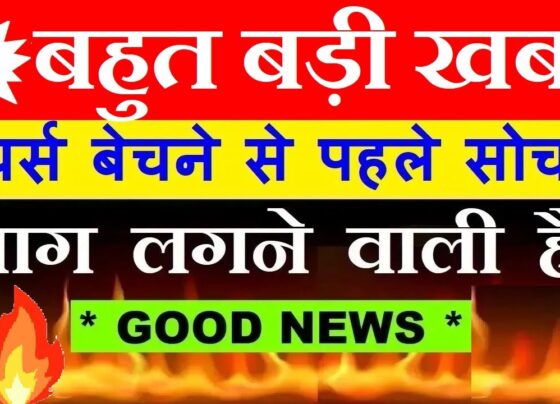 Goldman Sachs Bullish on Indian Stock Market: Nifty Targets 29,000 by 2026 Essential Insights for Beginners and Investors