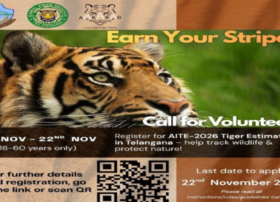 All-India Tiger Estimation (AITE) 2026. This monumental effort, spearheaded by the National Tiger Conservation Authority (NTCA) and the Wildlife Institute of India (WII) in Dehradun, stands as the world's largest wildlife survey. It unites scientists, forest guardians, and everyday enthusiasts in a quest to safeguard the elusive Bengal tiger