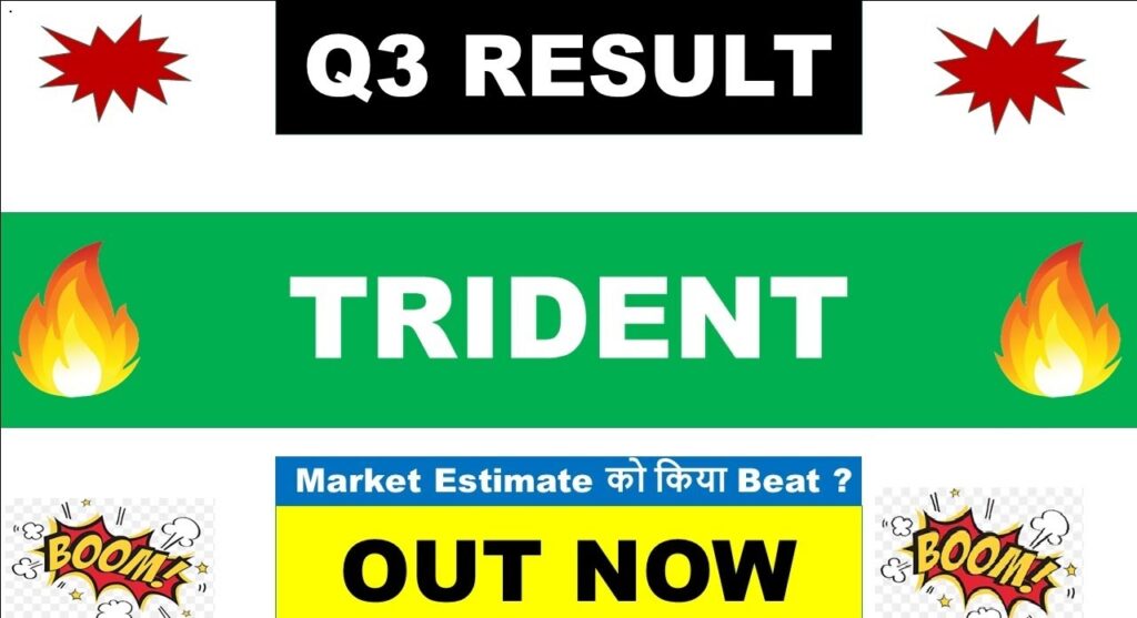Analyzing the Sharp Profit Decline and Future Growth Prospects Amid New US-India Trade Tariffs