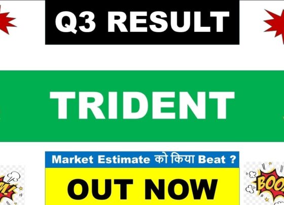 Analyzing the Sharp Profit Decline and Future Growth Prospects Amid New US-India Trade Tariffs