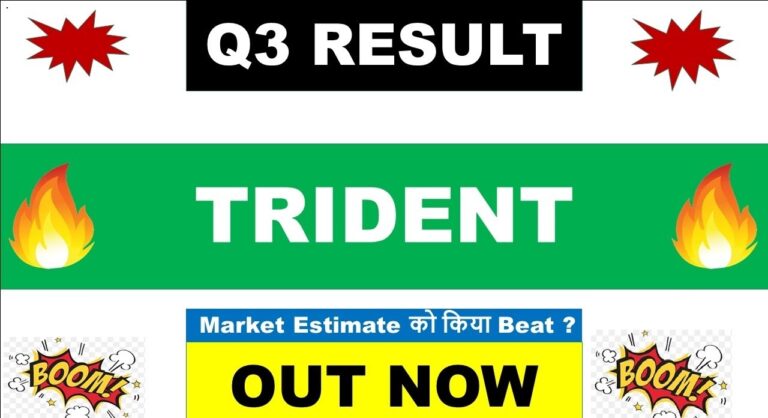 Analyzing the Sharp Profit Decline and Future Growth Prospects Amid New US-India Trade Tariffs